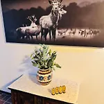 Отель Reitsamerhof - &