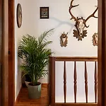 Reitsamerhof - & 3* Werfen