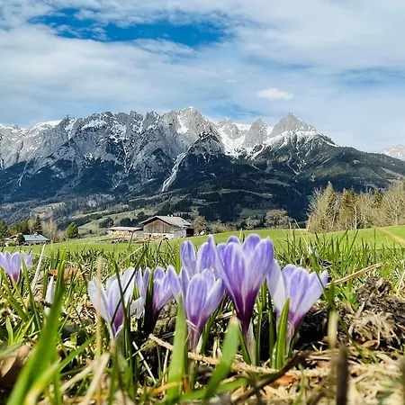 Hotel Landgasthof Reitsamerhof