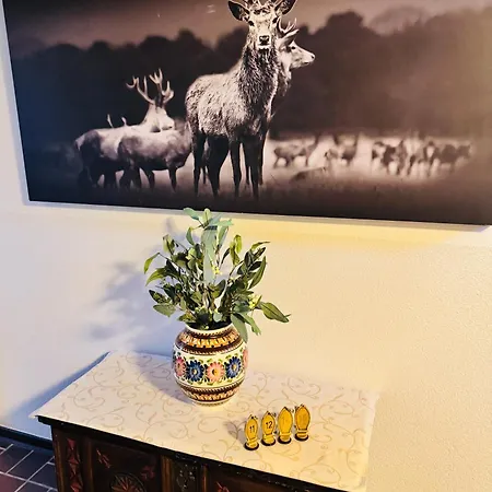 Hotel Reitsamerhof - &