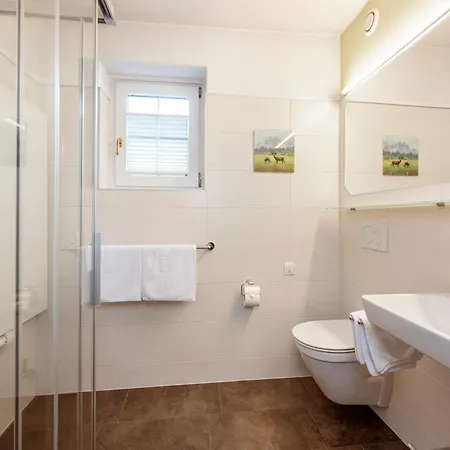 Hotel Reitsamerhof - & 3*