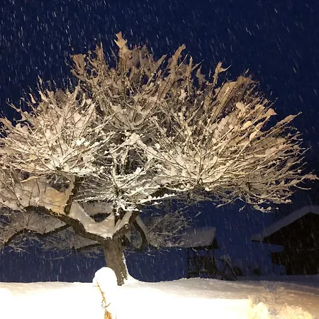 Reitsamerhof - & Hotel 3*