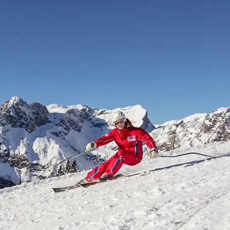 Hotel Reitsamerhof - &